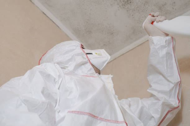 Best Toxic Mold Removal  in Pinecrest, FL