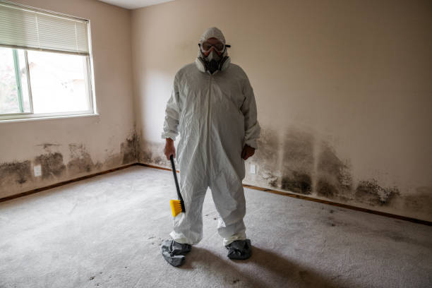 Best Attic Mold Removal  in Pinecrest, FL